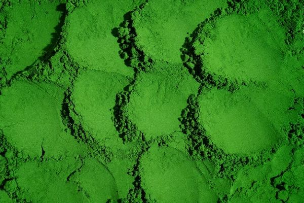 argile verte bienfaits