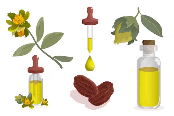 Detailed jojoba element collection
